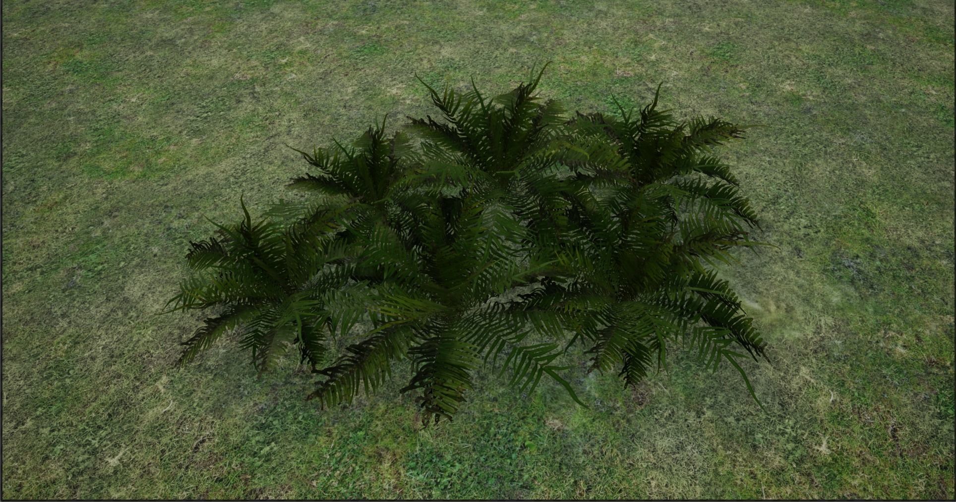 4K Lowpoly Fern Bush Plant Low-poly 3D model_11