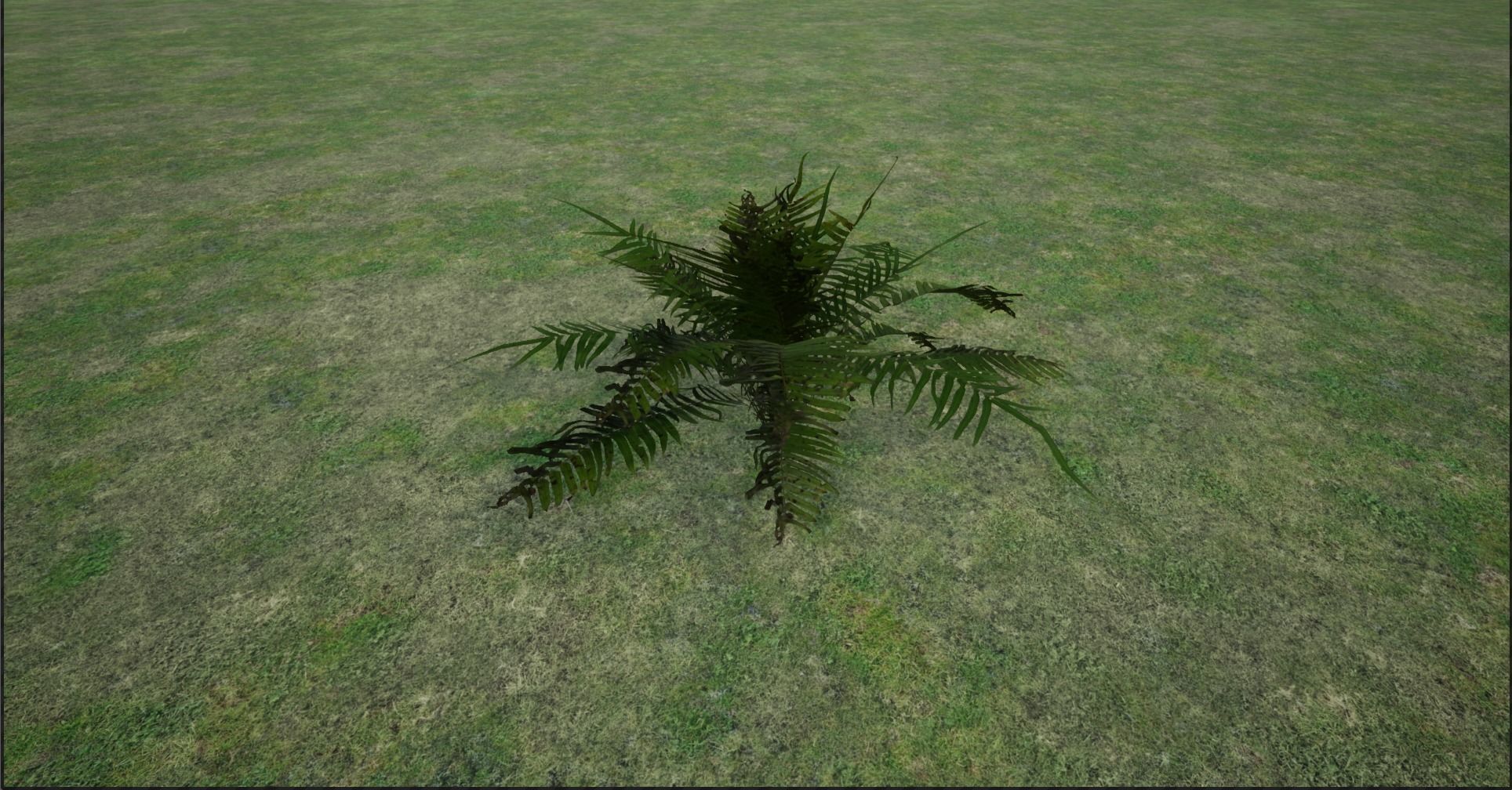 4K Lowpoly Fern Bush Plant Low-poly 3D model_2