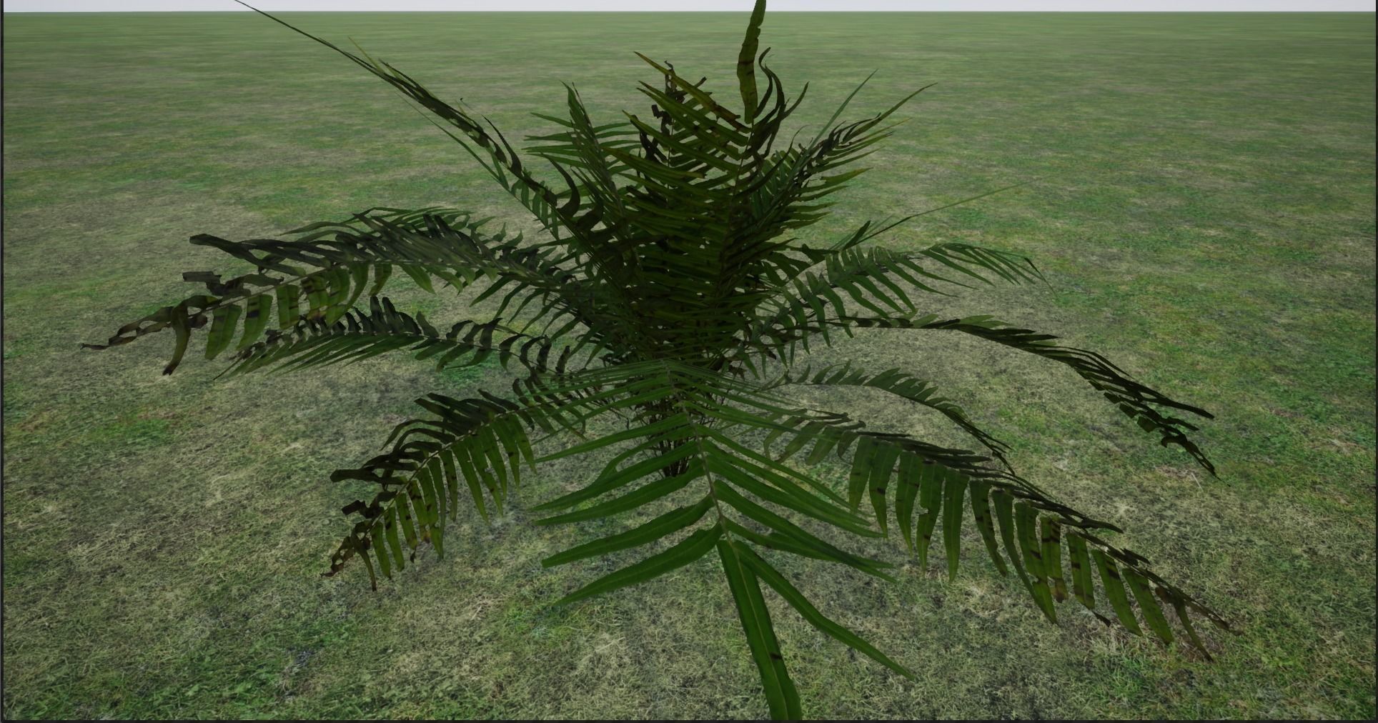 4K Lowpoly Fern Bush Plant Low-poly 3D model_5