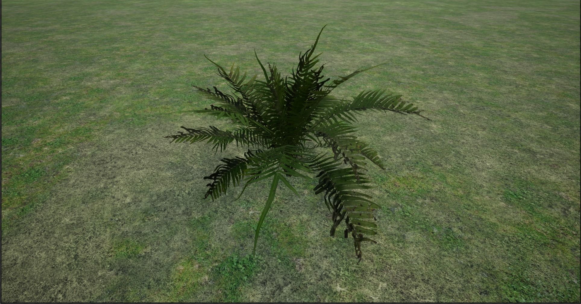4K Lowpoly Fern Bush Plant Low-poly 3D model_3