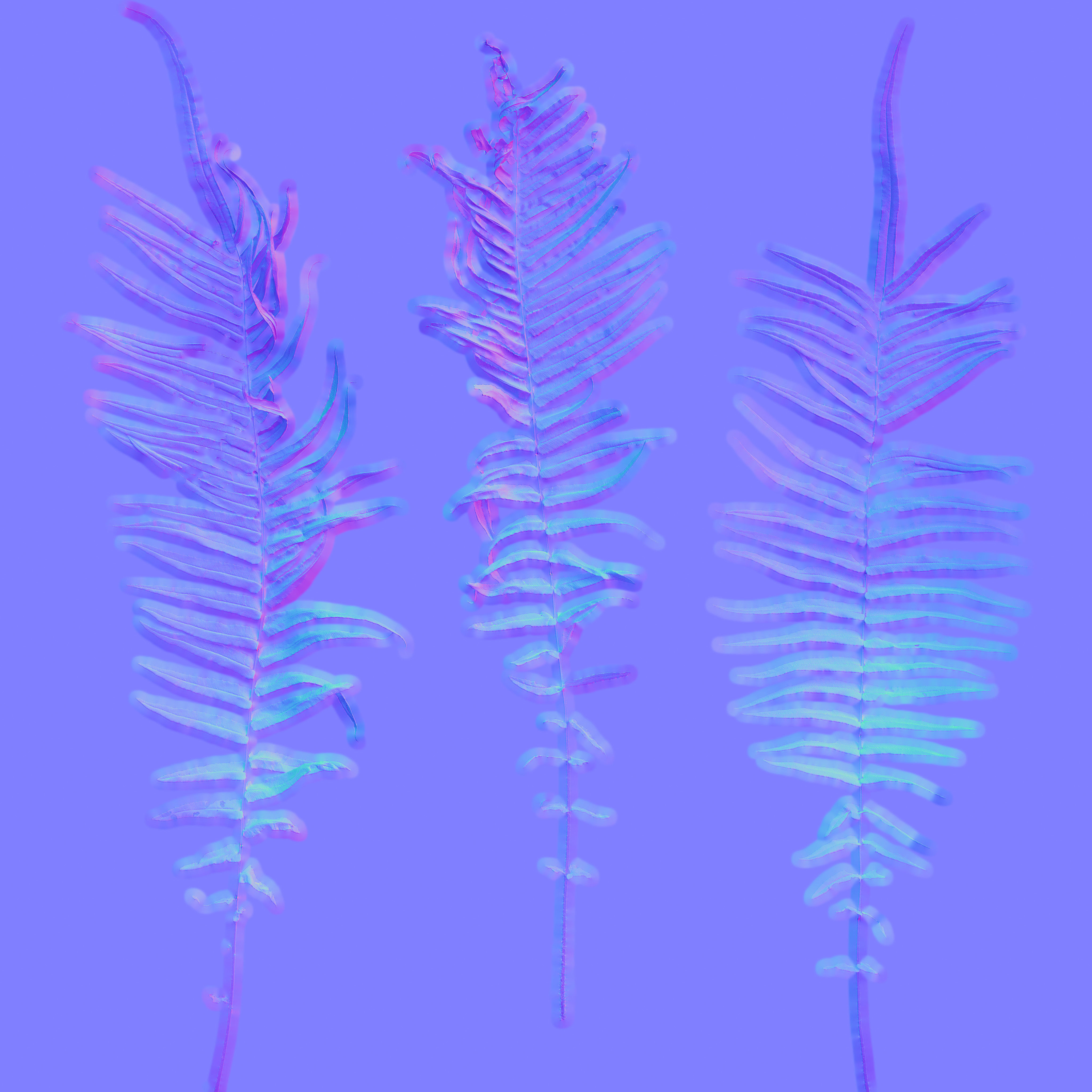 4K Lowpoly Fern Bush Plant Low-poly 3D model_19