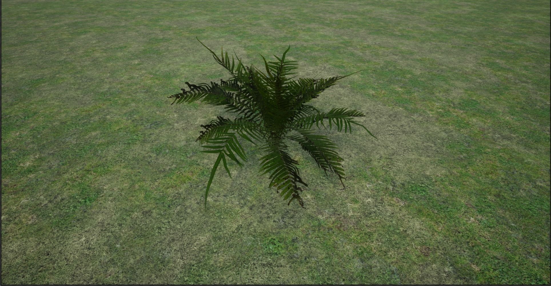 4K Lowpoly Fern Bush Plant Low-poly 3D model_1