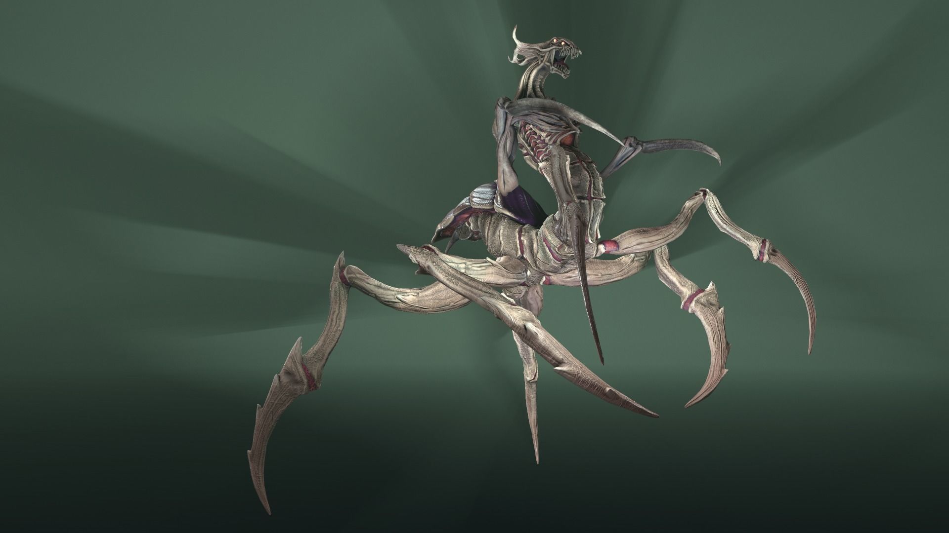 Alien Spider Low-poly 3D model_27