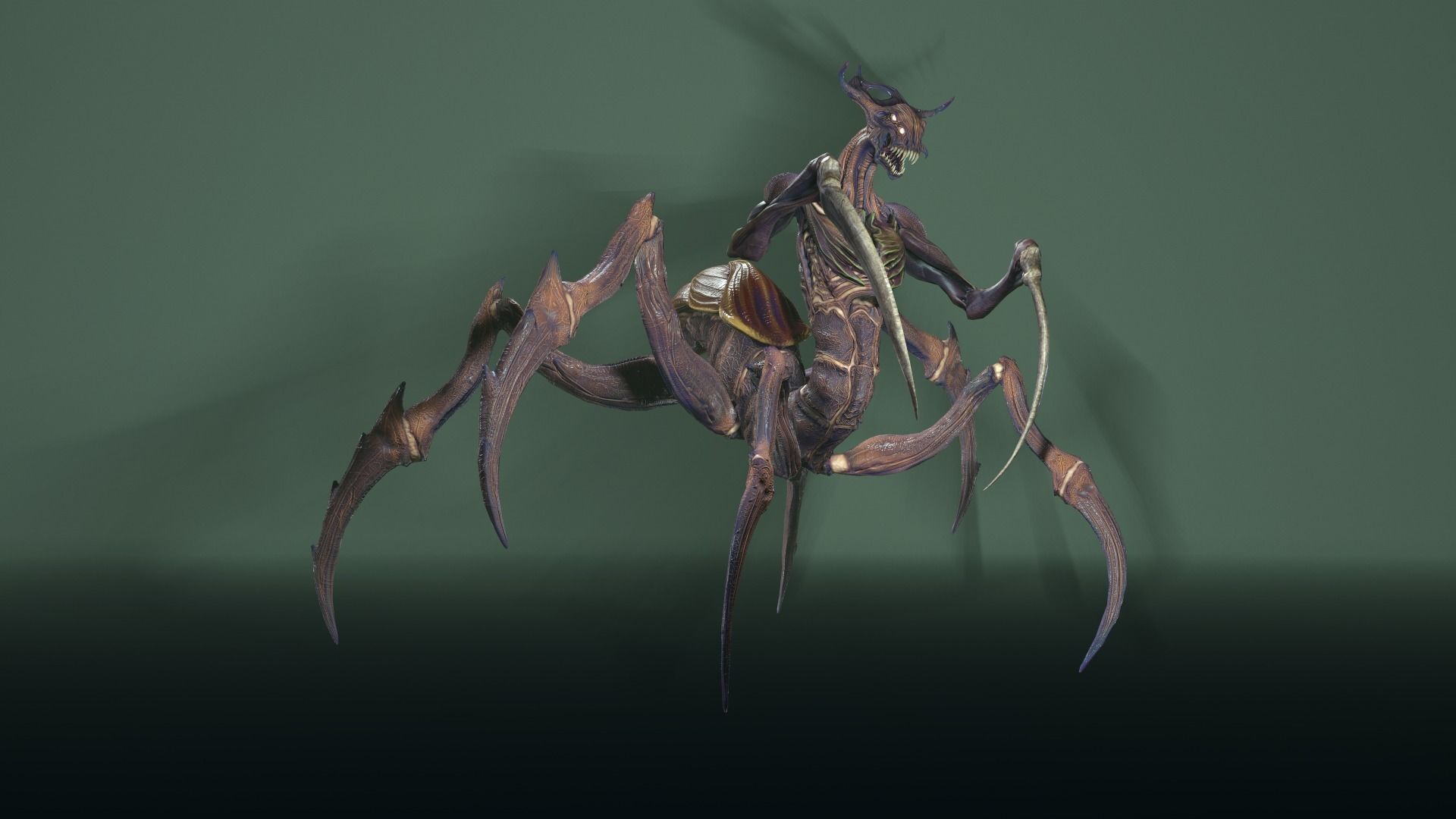 Alien Spider Low-poly 3D model_18