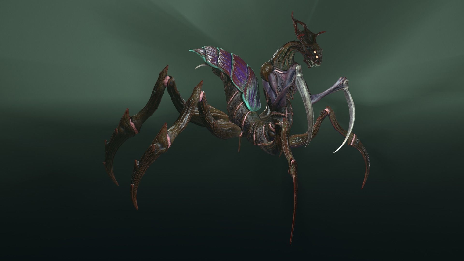 Alien Spider Low-poly 3D model_25