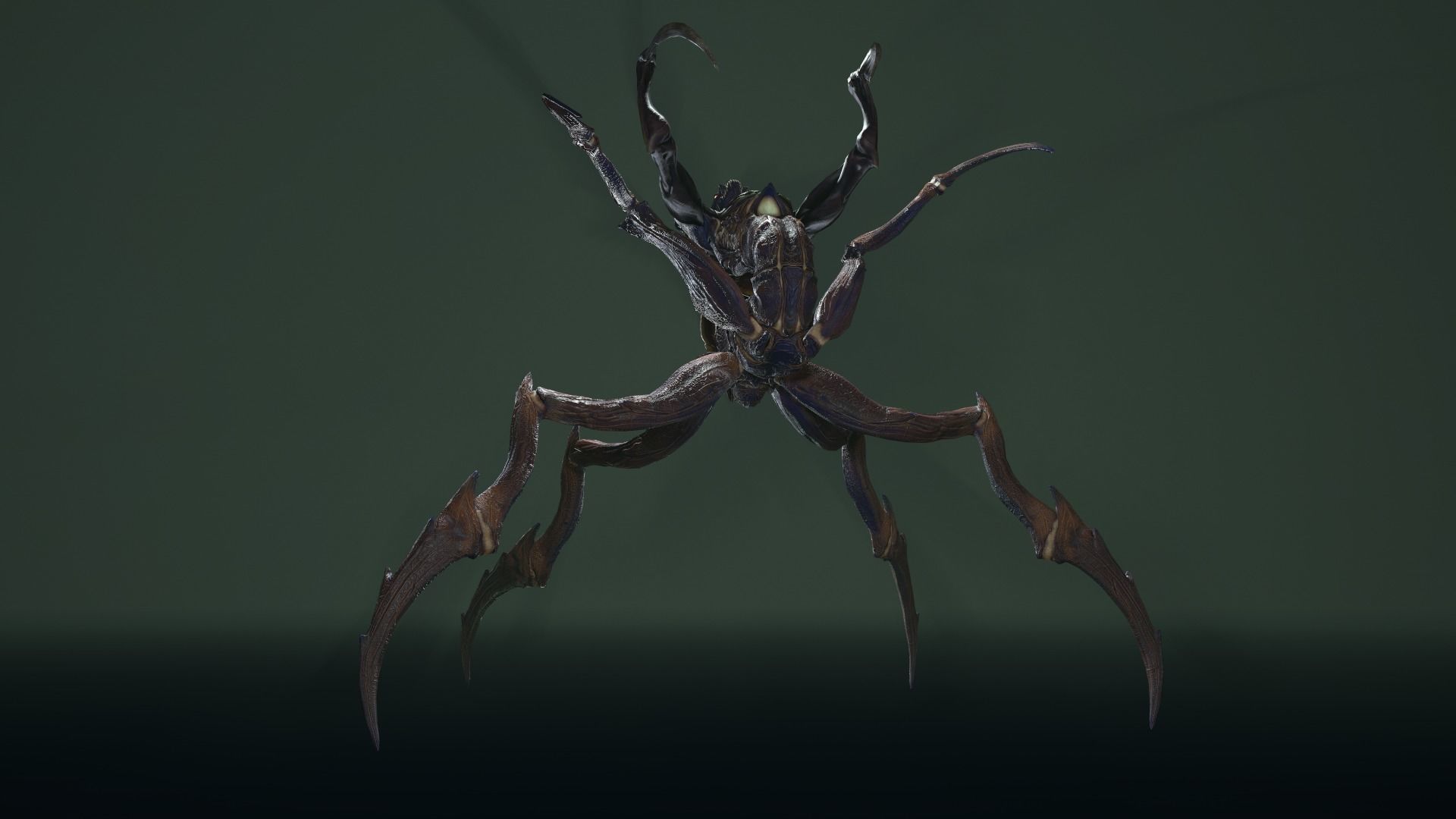 Alien Spider Low-poly 3D model_12