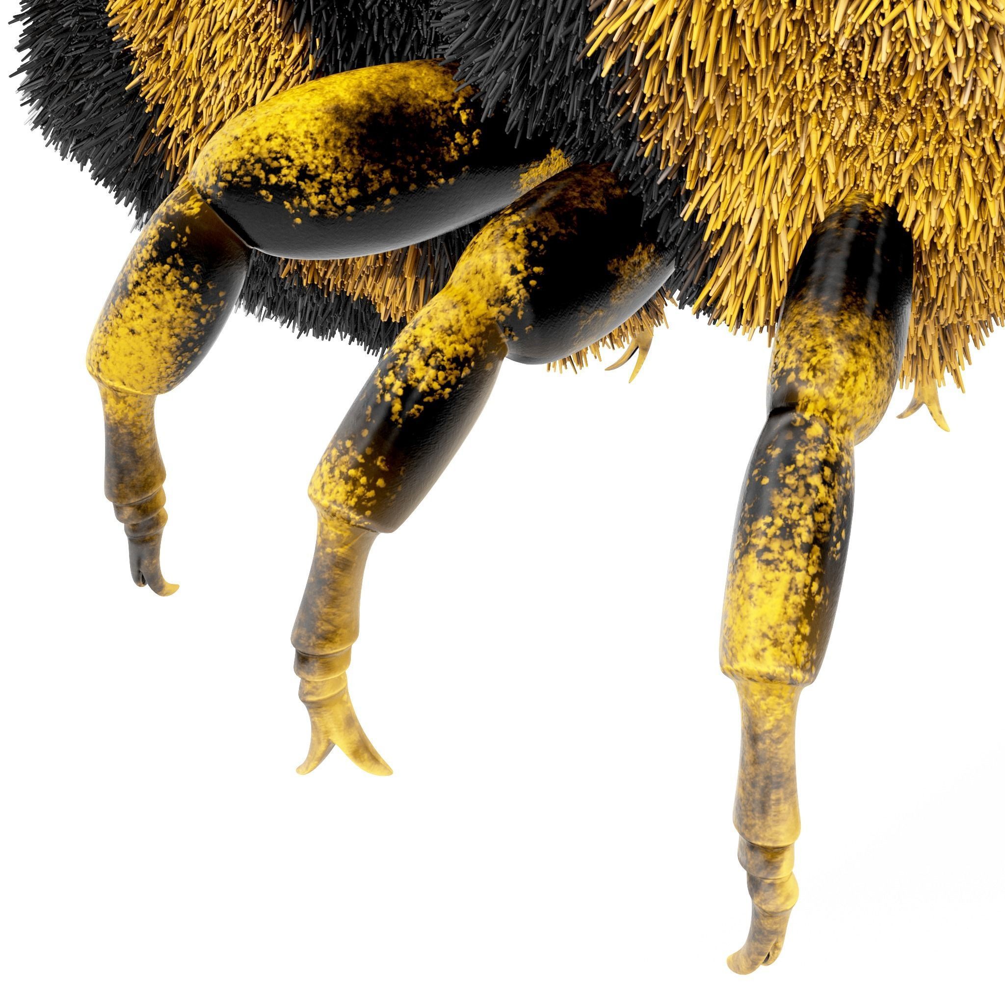 Bumblebee cartoon Low-poly 3D model_5