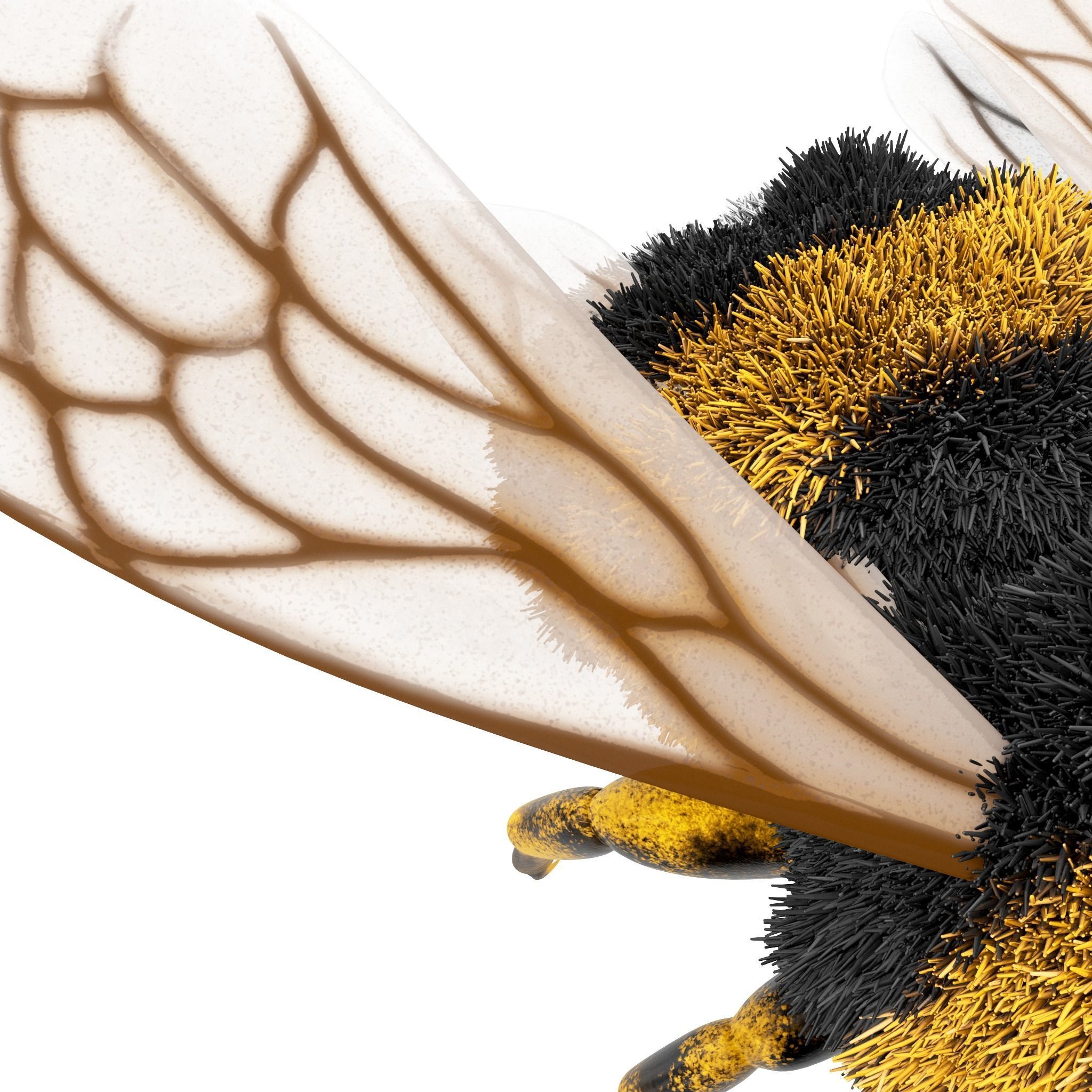 Bumblebee cartoon Low-poly 3D model_6