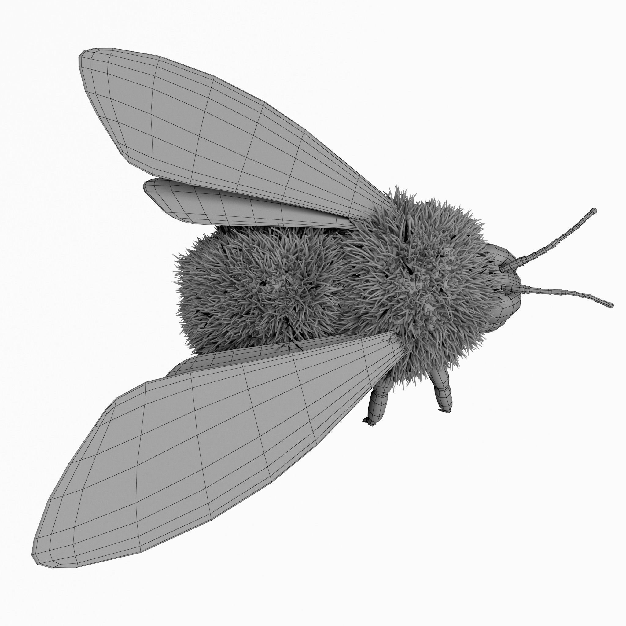 Bumblebee cartoon Low-poly 3D model_9