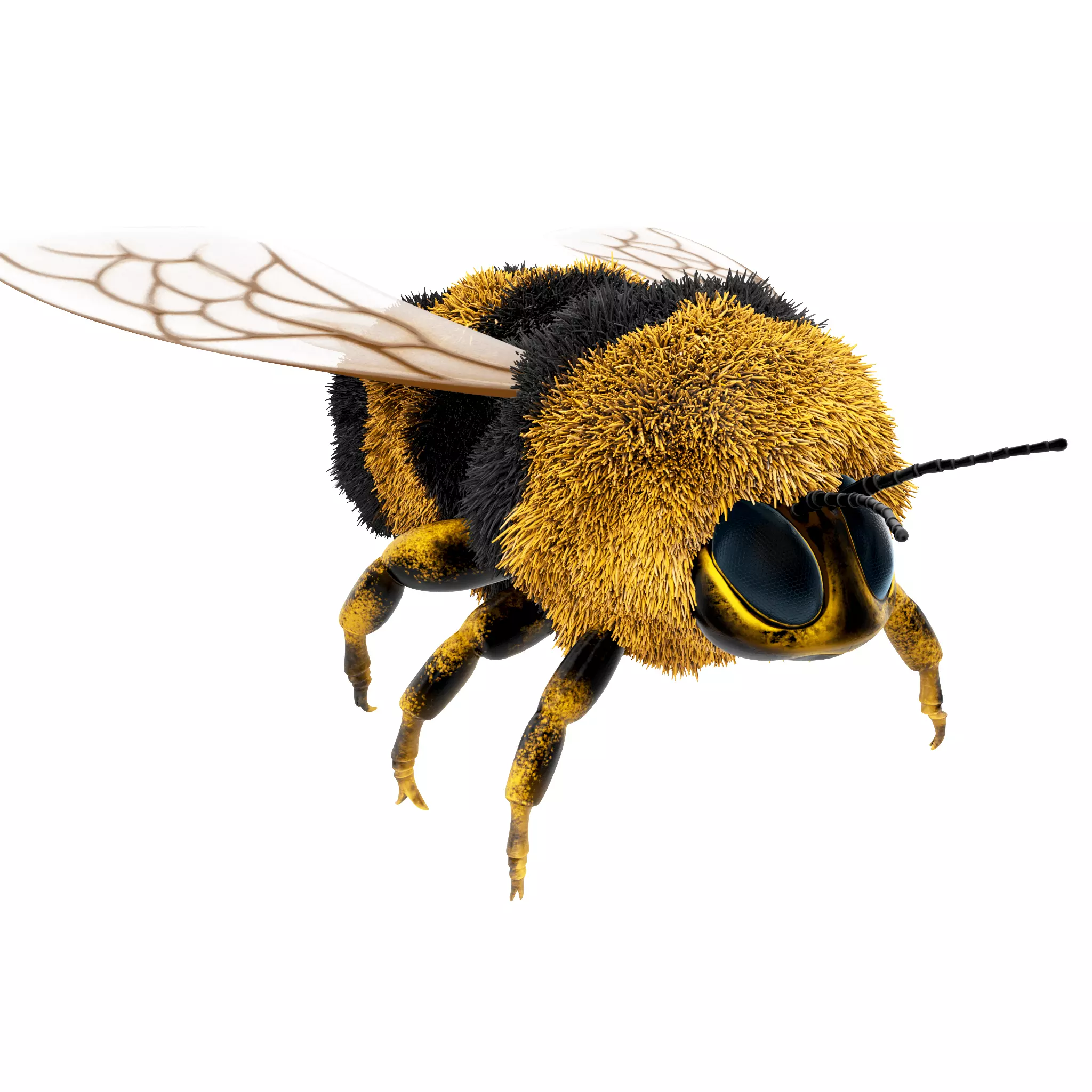 Bumblebee cartoon Low-poly 3D model_0