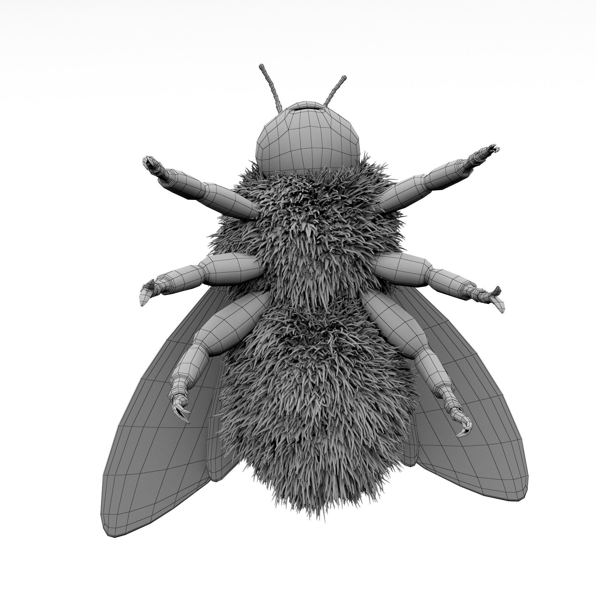 Bumblebee cartoon Low-poly 3D model_11