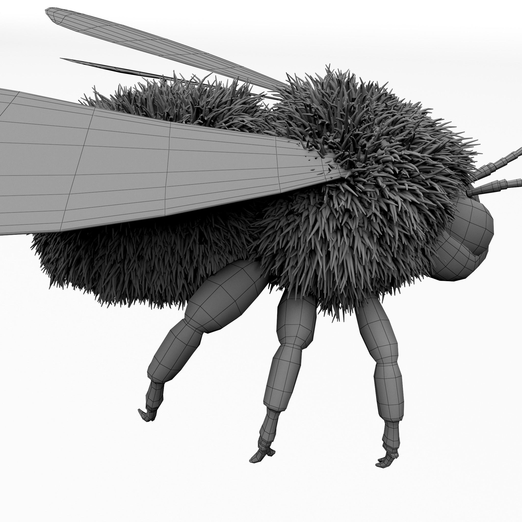 Bumblebee cartoon Low-poly 3D model_10