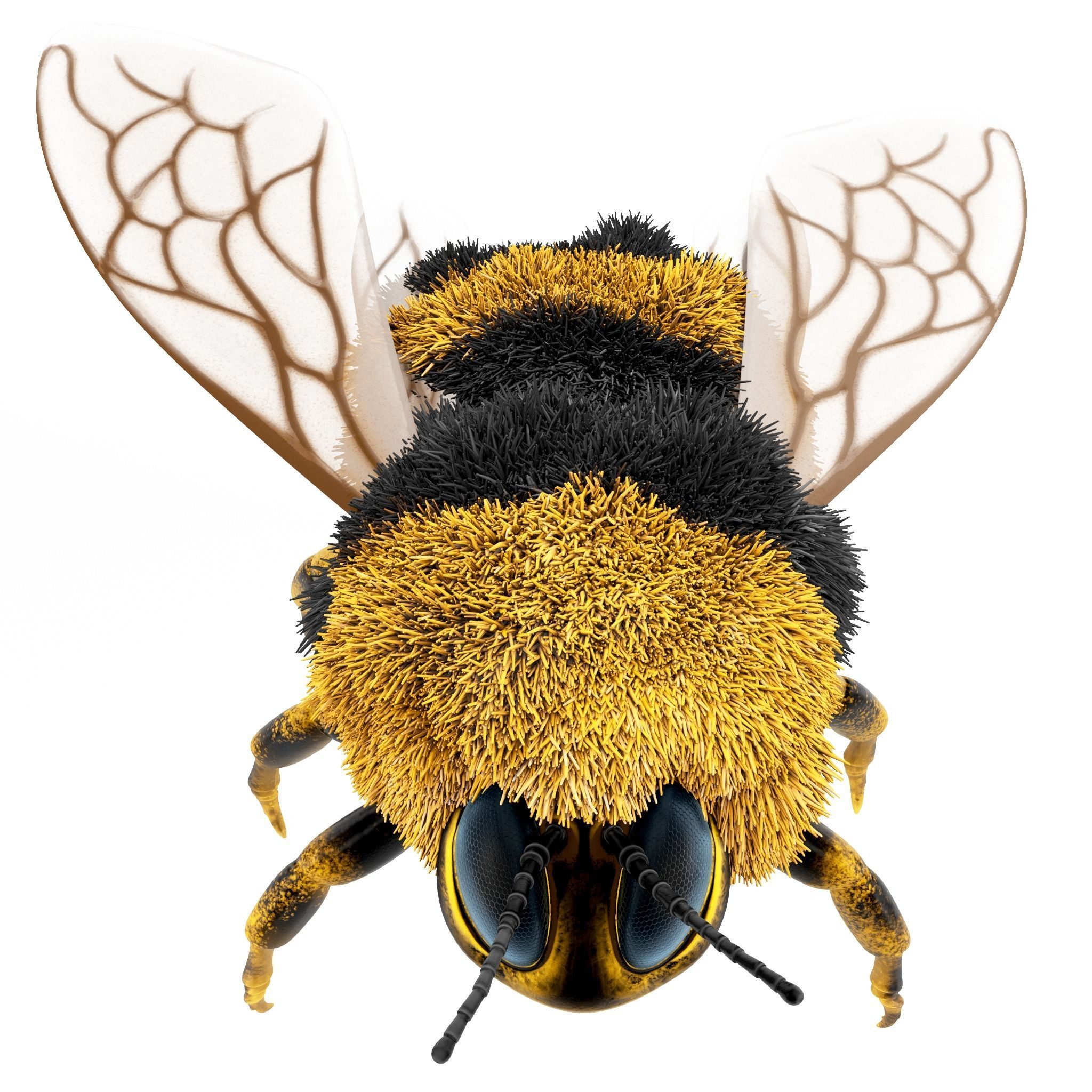 Bumblebee cartoon Low-poly 3D model_3