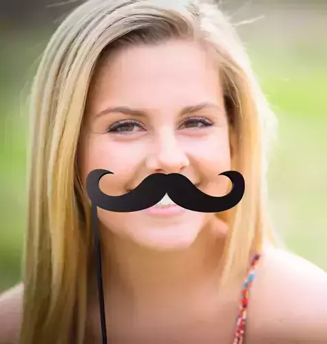 Mustache Mustache Stick 3D print model