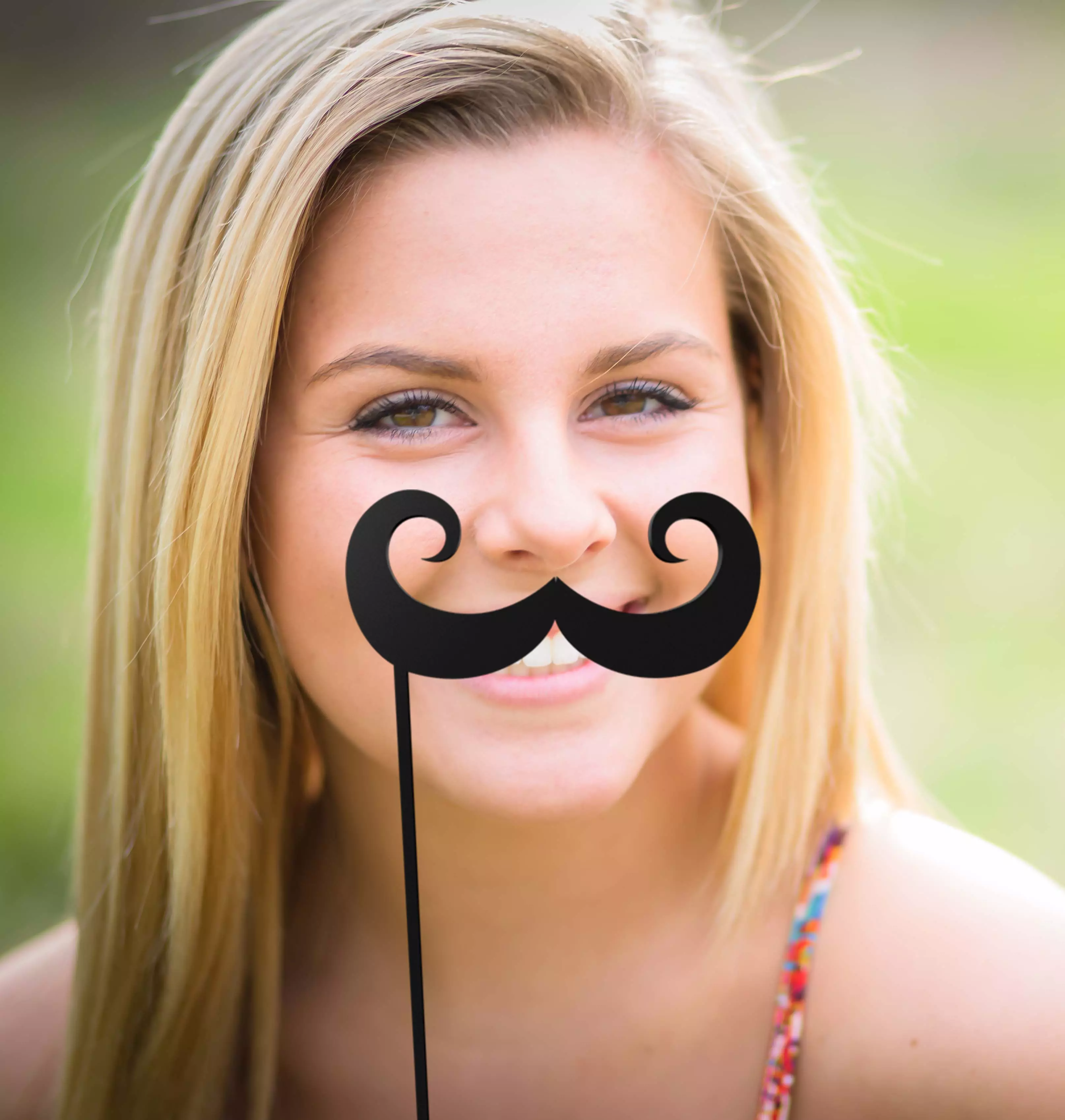 Mustache Mustache Stick 3D print model_0