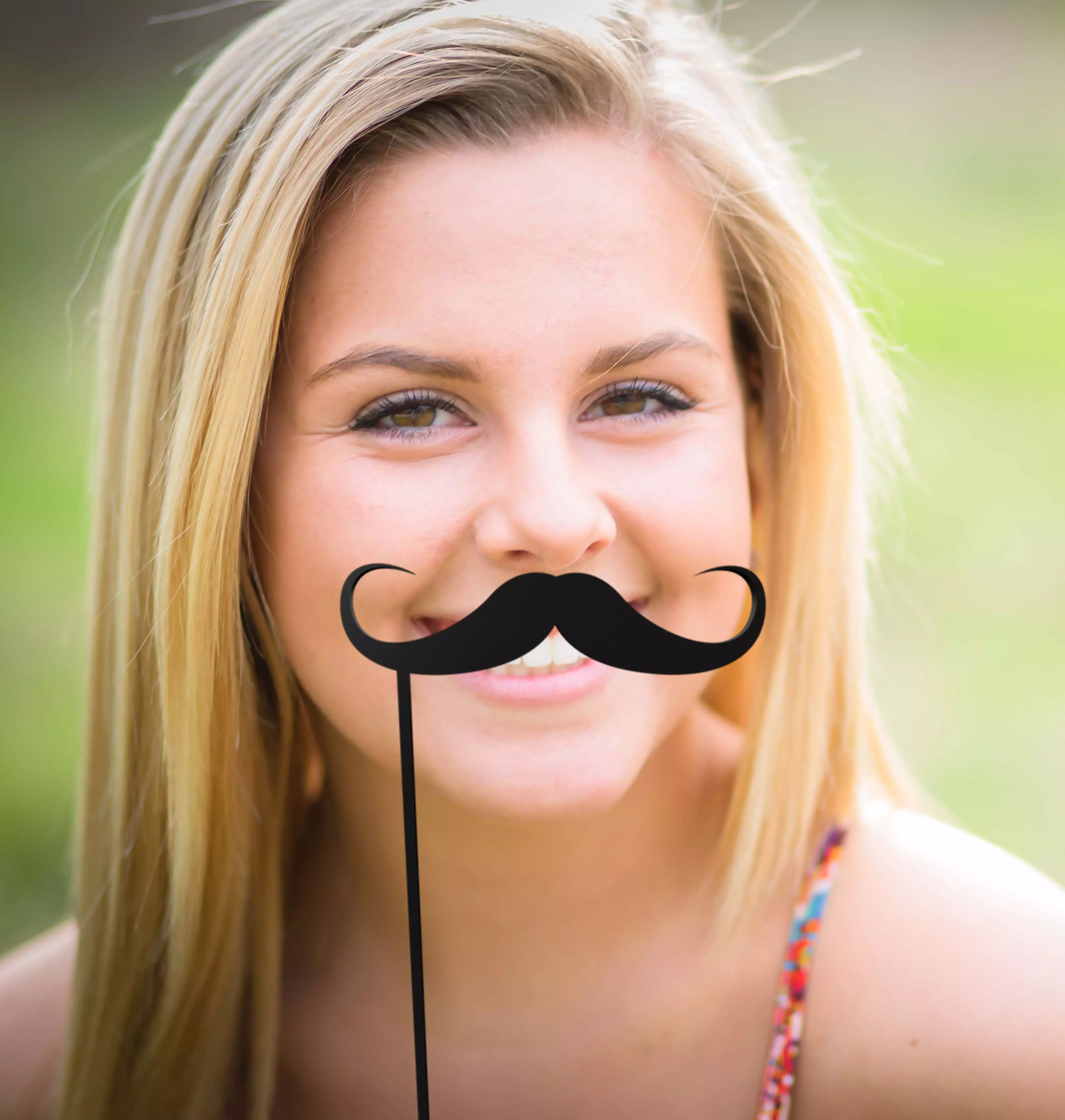 Mustache Mustache Stick Free 3D print model