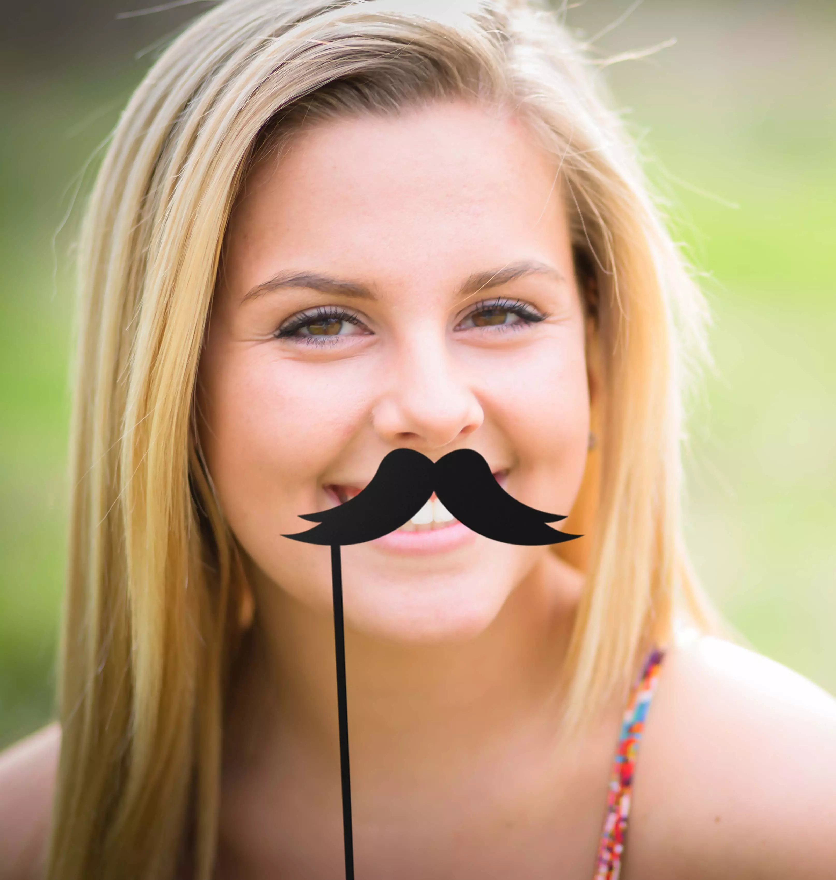 Mustache Mustache Stick 3D print model_0