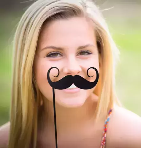 Mustache Mustache Stick 3D print model