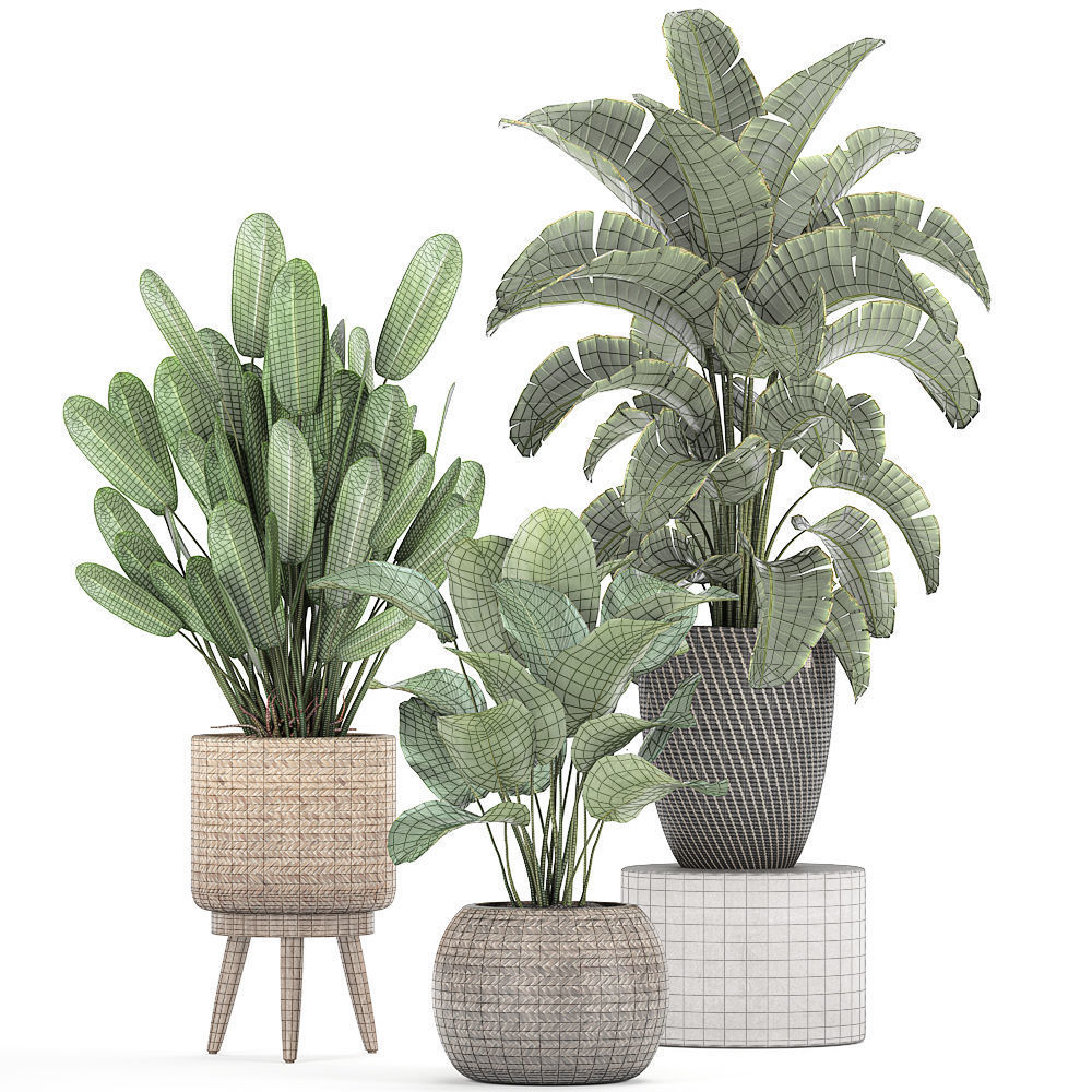 Ornamental plants in a rattan basket 779 3D model_9
