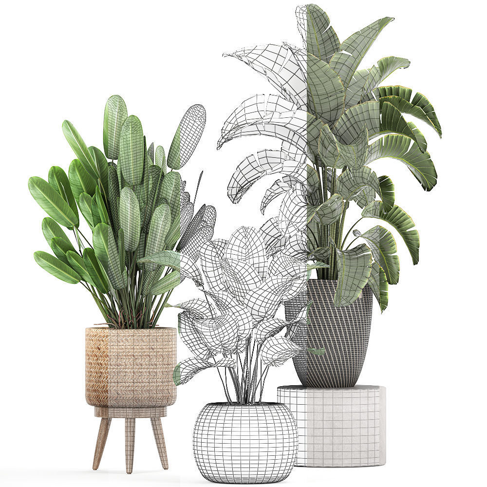 Ornamental plants in a rattan basket 779 3D model_8