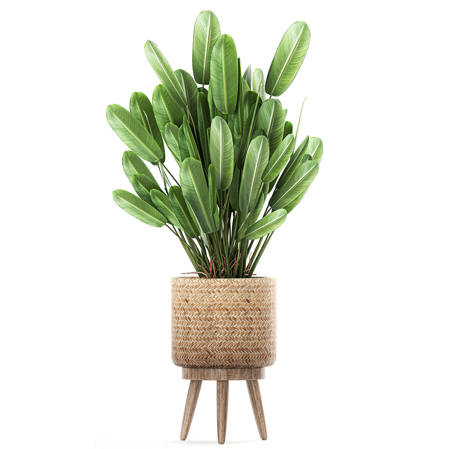 Ornamental plants in a rattan basket 779 3D model_7