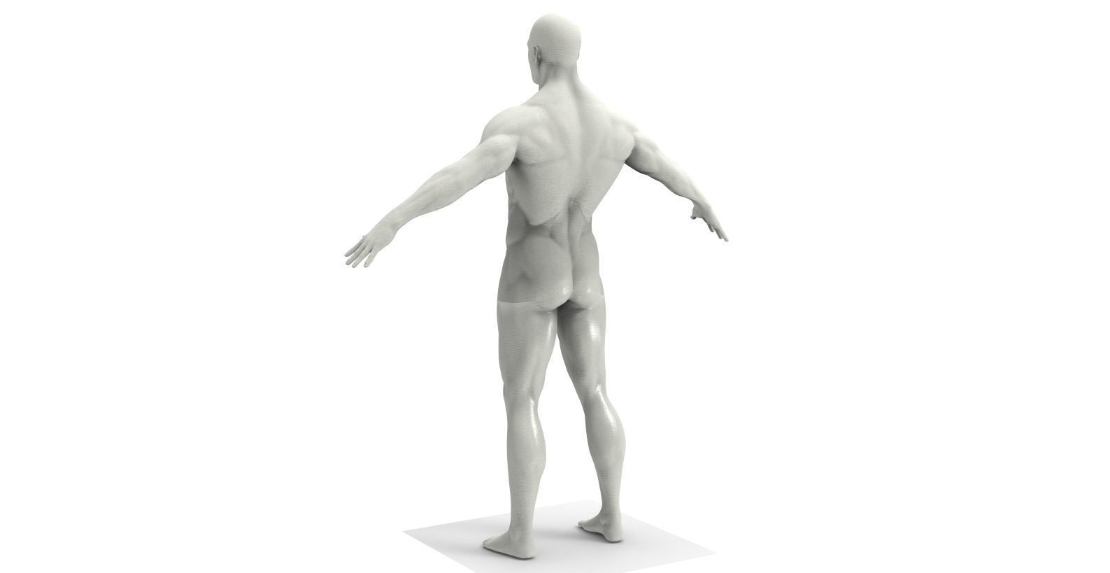 Character Man M5 3D model_2