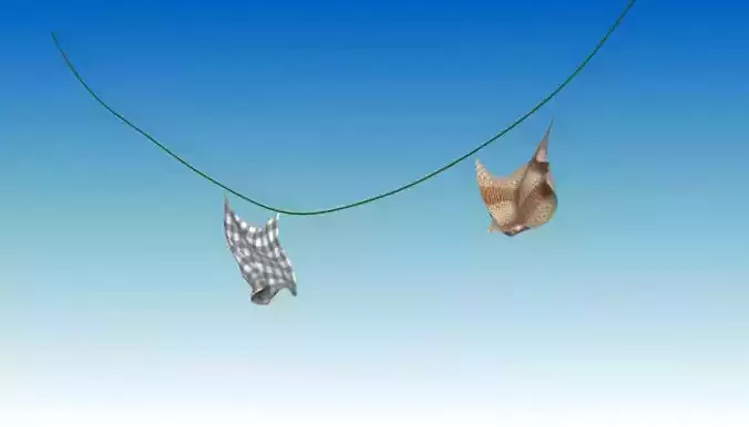 cloth simulated Low-poly 3D model