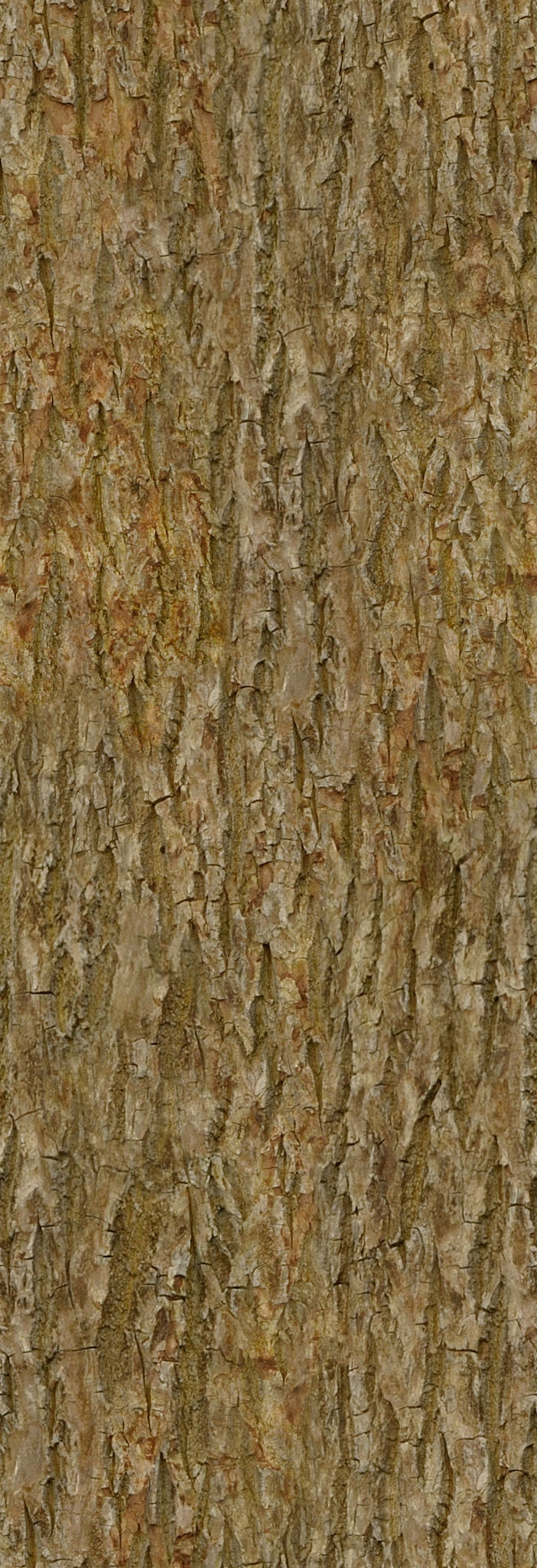 low poly tree four trees Low-poly 3D model_4