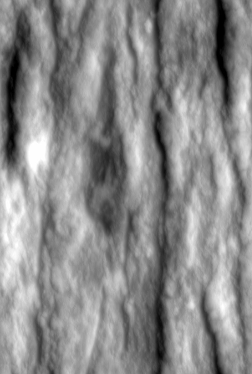 low poly tree four trees Low-poly 3D model_2