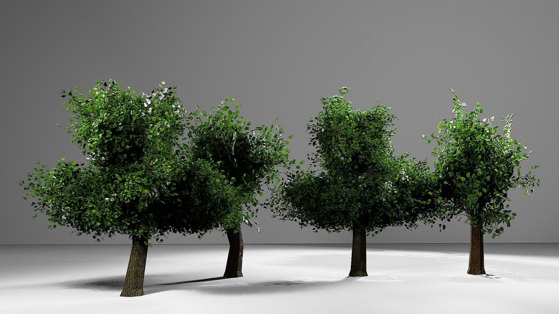 low poly tree four trees Low-poly 3D model_1