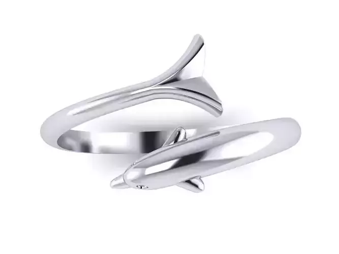 ring dolphin