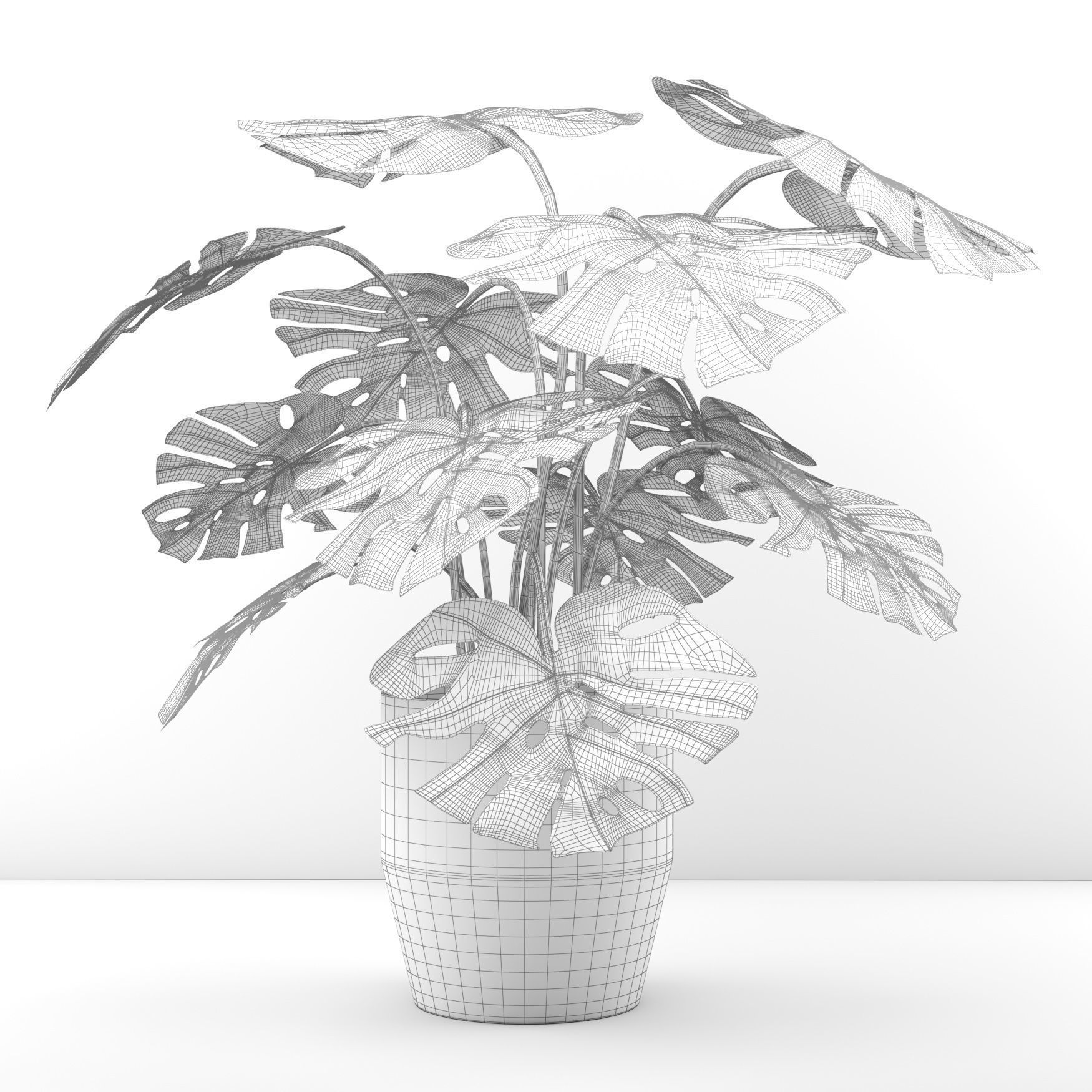 monstera in pot  3D model_3