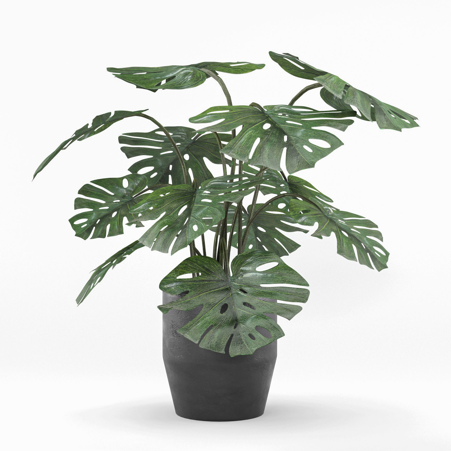 monstera in pot  3D model_5