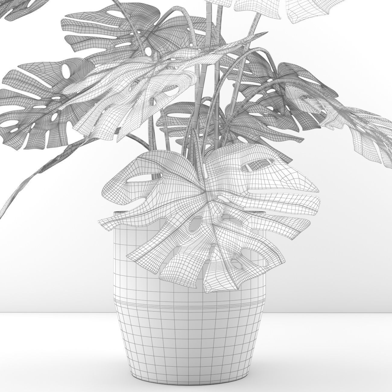 monstera in pot  3D model_4