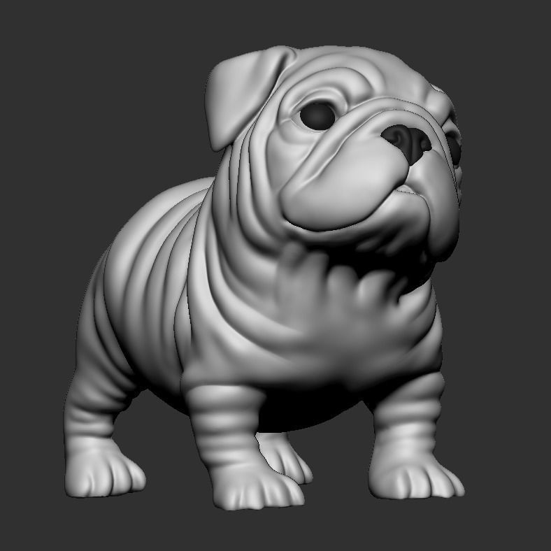 Question Bulldog 3D print model_8