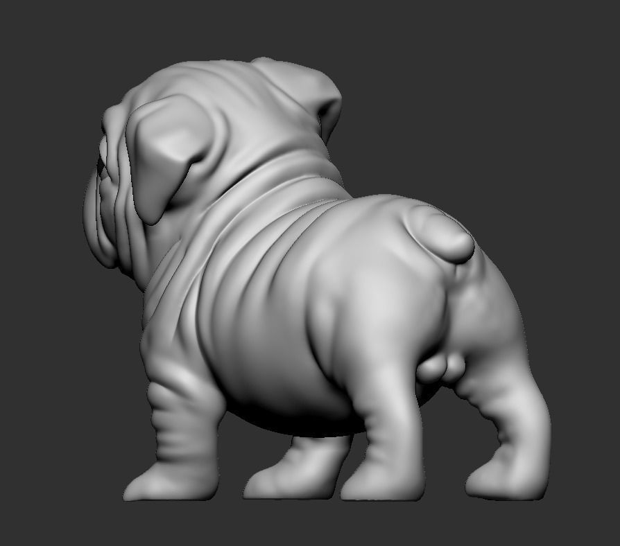 Question Bulldog 3D print model_3