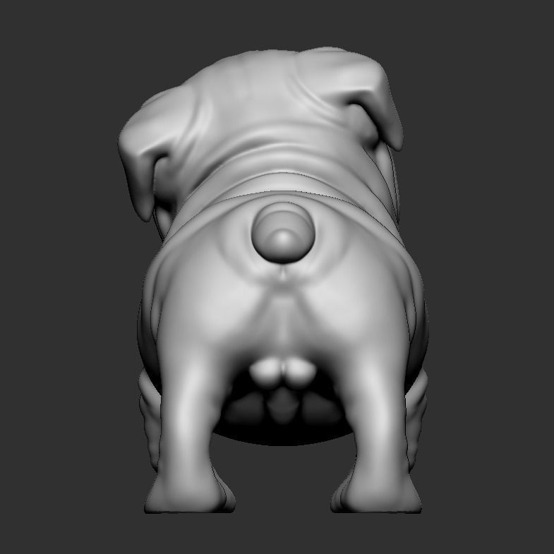 Question Bulldog 3D print model_4