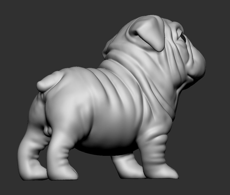 Question Bulldog 3D print model_6