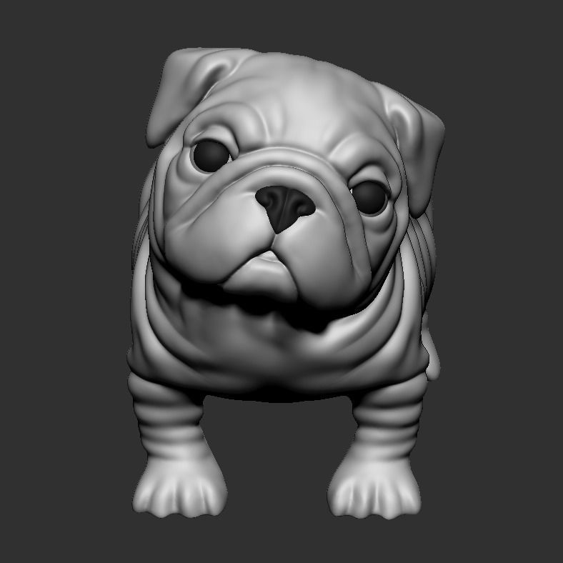 Question Bulldog 3D print model_1