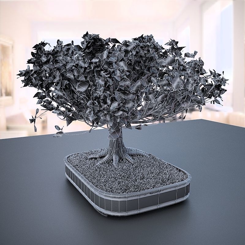Wind Animated - American Elm Bonsai 001 3D model_5