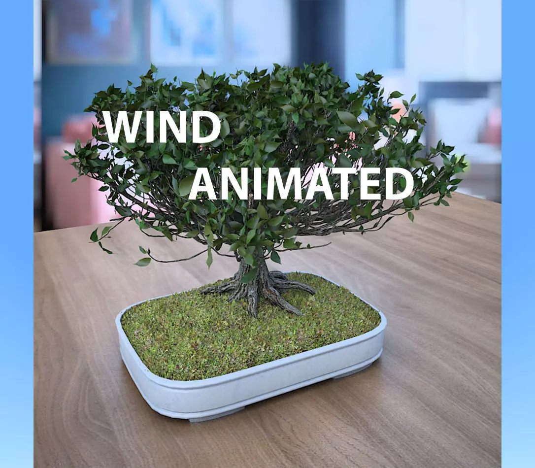 Wind Animated - American Elm Bonsai 001 3D model_0
