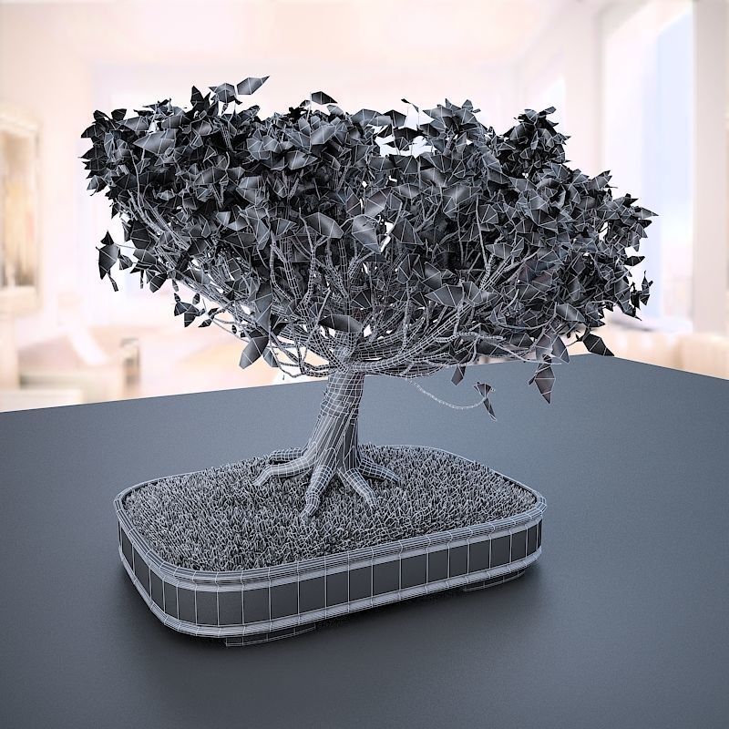 Wind Animated - American Elm Bonsai 001 3D model_3