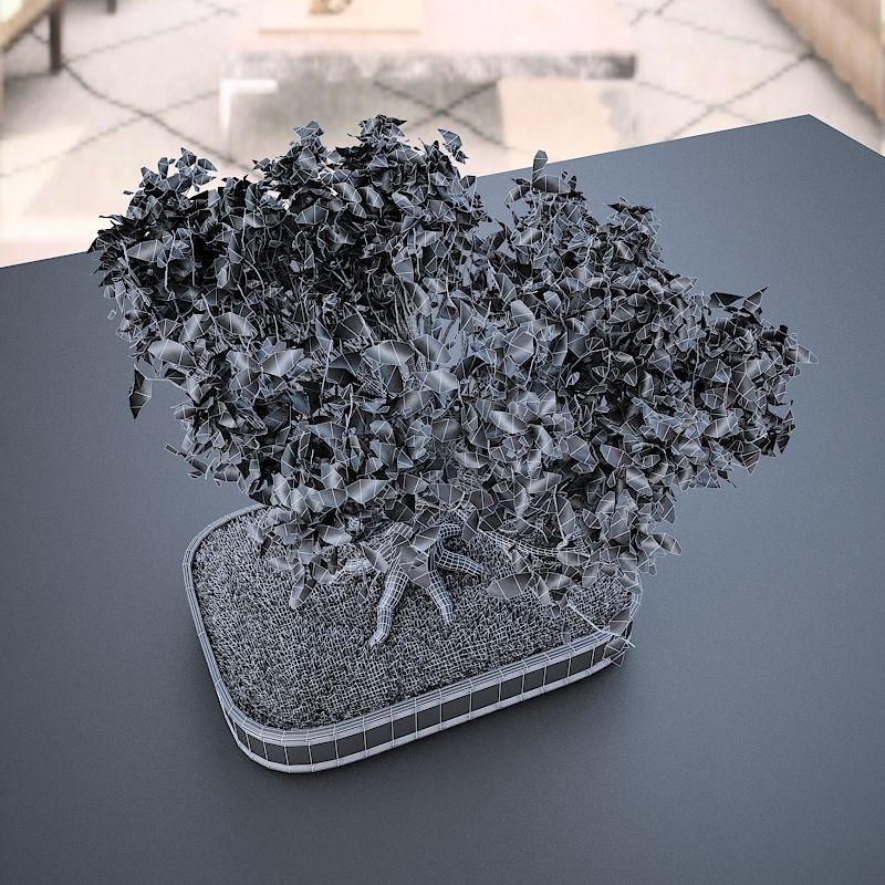 Wind Animated - American Elm Bonsai 001 3D model_7