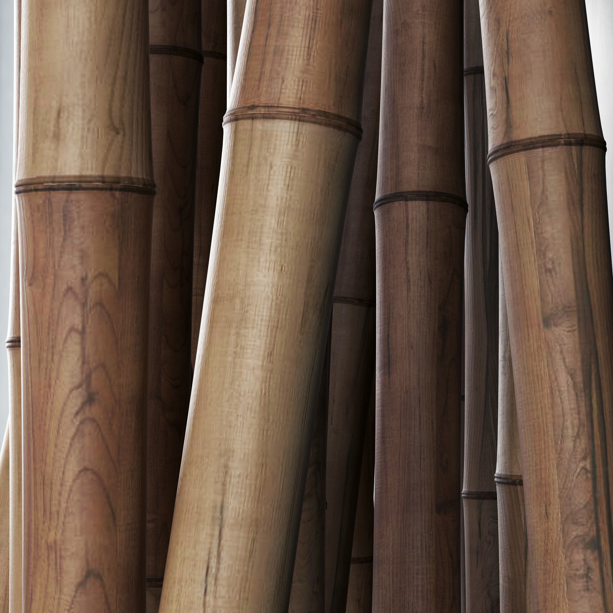 Bamboo branch decor Wall cage n18a 3D model_17