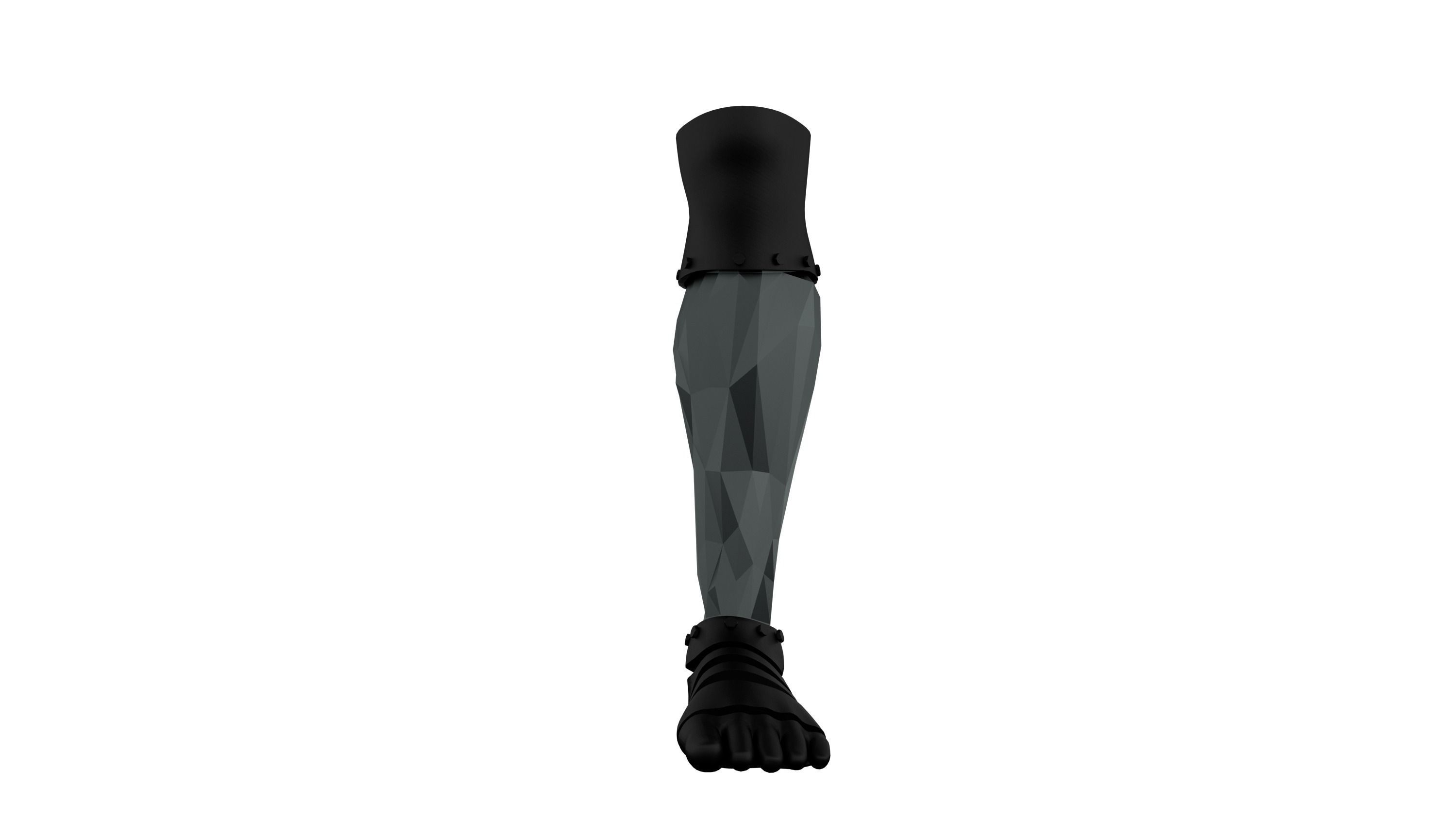 Artificial legs 3D print model_2
