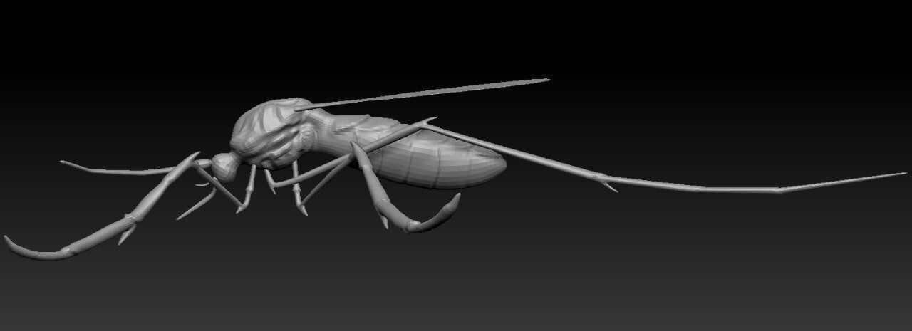 Mosquito with stripes 3D model_7