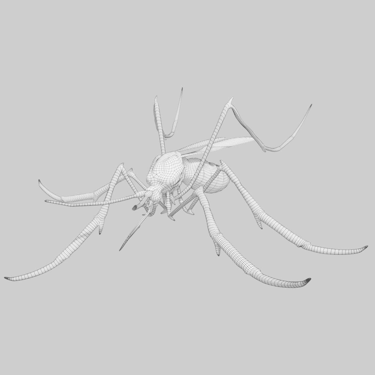 Mosquito with stripes 3D model_10