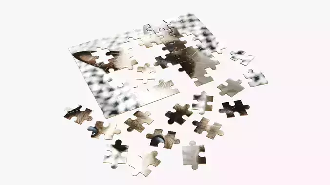 48-piece jigsaw puzzle 3 3D model