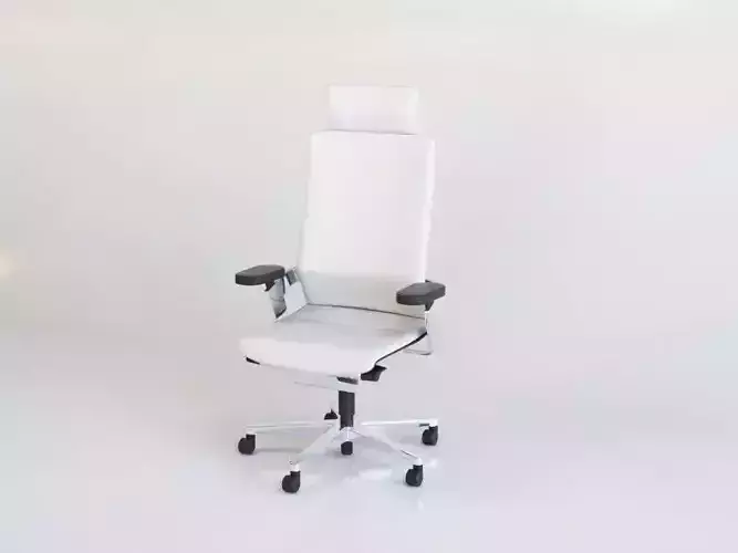 Office Chair Wilkhahn ON