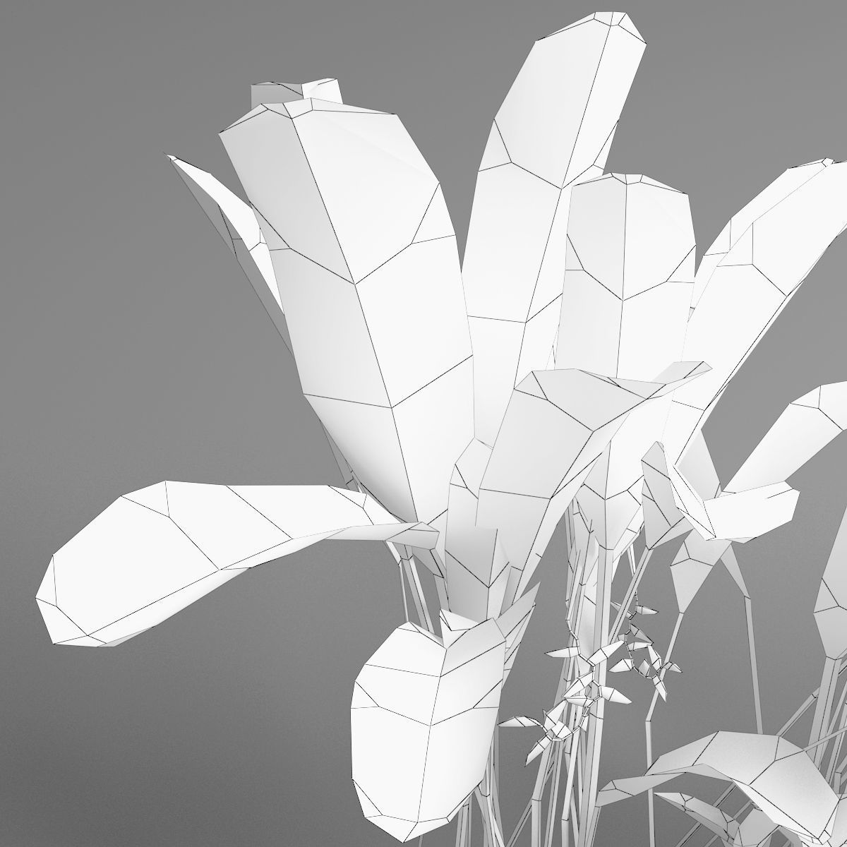 Tropical plant set Low-poly 3D model_7